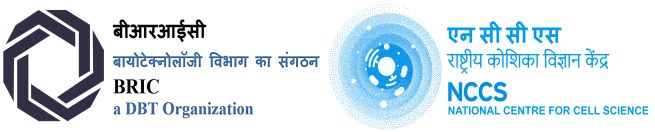 NCCS Logo